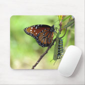 クイーンバタフライと(昆虫)オオカバマダラ、モナークキャタピラーマウスパッド マウスパッド (マウス)