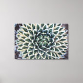 クイーンビクトリアアガヴェホワイト型枠 キャンバスプリント (正面)