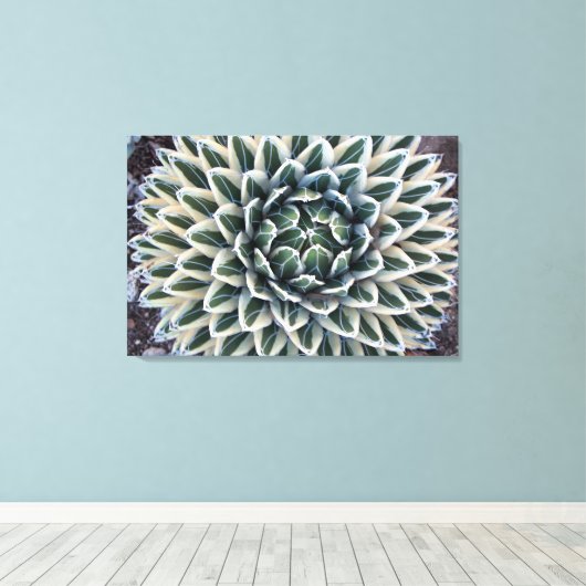 クイーンビクトリアアガヴェホワイト型枠 キャンバスプリント (インサイチュ (ウッドフロア))