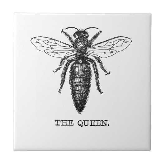 クイーンビーイラストレーションクラシックスケッチ タイル (正面)