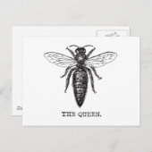 クイーンビーイラストレーションクラシックスケッチ ポストカード (正面/裏面)