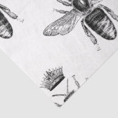 クイーンビーシリーズデザイン20 薄葉紙 (詳細)