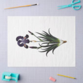 クイーンビーシリーズデザイン62 薄葉紙 (クラフト)