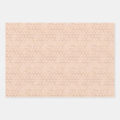 クイーンビーピンクニュートラルラッピング紙シート ラッピングペーパーシート (正面2)