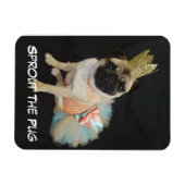 クイーンフォトマグネット マグネット (横)