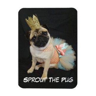 クイーンフォトマグネット マグネット