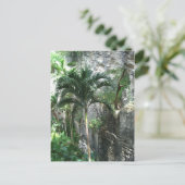 クイーン階段 ポストカード (スタンド正面)