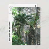 クイーン階段 ポストカード (正面/裏面)