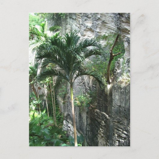 クイーン階段 ポストカード (正面)