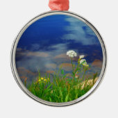 クイーン・アンのレースの花、青い山の湖 メタルオーナメント (正面)