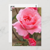 クイーン・エリザベス ポストカード (正面/裏面)