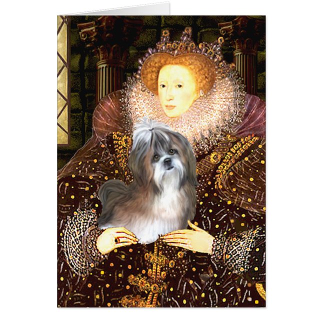 クイーン – シーズー（犬）Tzu 8 （茶色 – 白） (正面)