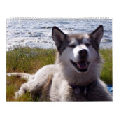 クウィンのカレンダー2007年 カレンダー (カバー)