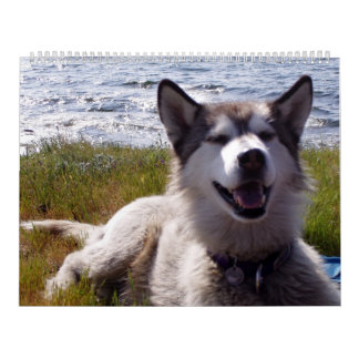 クウィンのカレンダー2007年 カレンダー