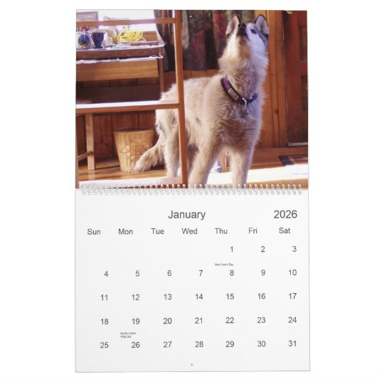 クウィンのカレンダー2007年 カレンダー (1月 2026)