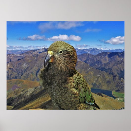 クウェンスタウンKea ポスター (正面)