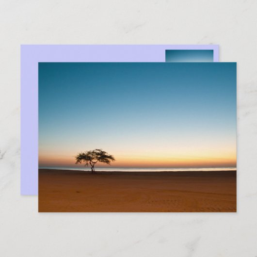 クウェートの日の出で孤独な木 ポストカード (正面/裏面)