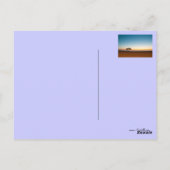 クウェートの日の出で孤独な木 ポストカード (裏面)