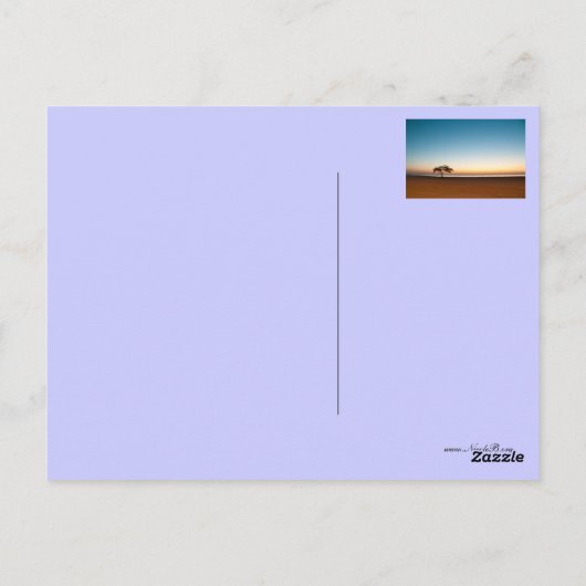 クウェートの日の出で孤独な木 ポストカード (裏面)