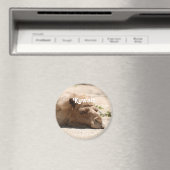 クウェートカメル マグネット (インサイチュ (食洗機))