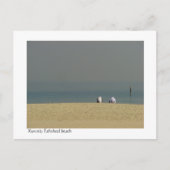 クウェート、フェハヒールビーチ ポストカード (正面)