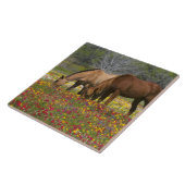 クエロ近郊の野草のフィールドで4分の1馬 タイル (側面)