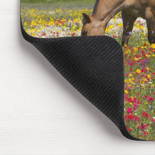 クエロ近郊の野草のフィールドで4分の1馬 マウスパッド (コーナー)