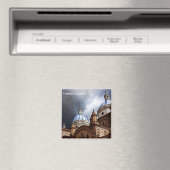 クエンカエクアドル磁石 マグネット (インサイチュ (食洗機))