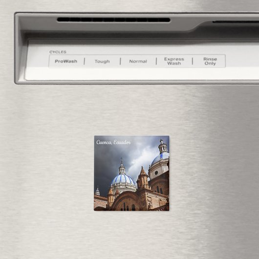 クエンカエクアドル磁石 マグネット (インサイチュ (食洗機))