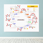 クエン酸回路、TCAサイクル、クレブスサイクル図 キャンバスプリント (インサイチュ (ウッドフロア))