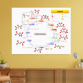 クエン酸回路、TCAサイクル、クレブスサイクル図 キャンバスプリント (インサイチュ (リビング))