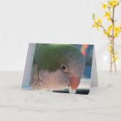 クエーカー教徒のインコの挨拶状 カード (黄色い花)