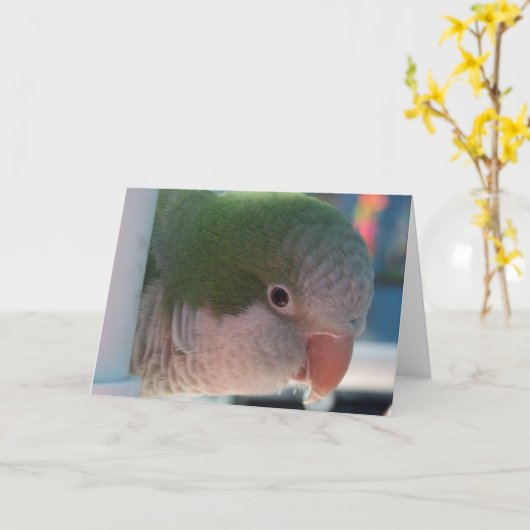 クエーカー教徒のインコの挨拶状 カード (黄色い花)