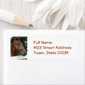 クォーターホースフォト差出人住所ラベル ラベル (インサイチュ)