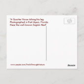 クォーターホースフォートマイヤーズフロリダ葉書 ポストカード (裏面)