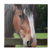 クォーター馬のタイルまたはTrivetの写真 タイル (正面)