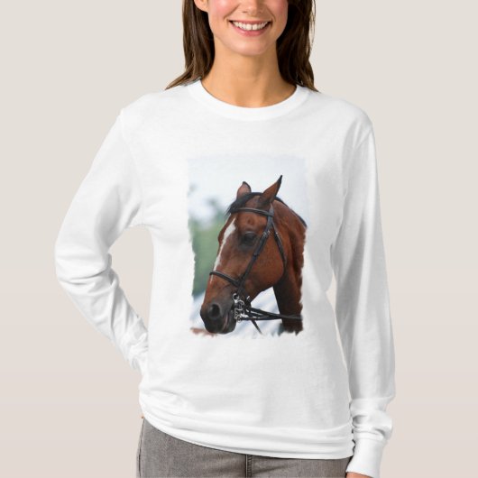 クォーター馬のプロフィールのフード付 Tシャツ (正面)