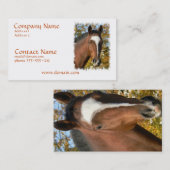 クォーター馬の名刺 名刺 (正面/裏面)