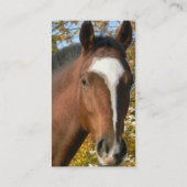 クォーター馬の名刺 名刺 (裏面)