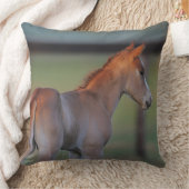 クォーター馬の子馬 クッション (ブランケット)