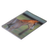 クォーター馬の子馬 ノートブック (左側)