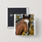 クォーター馬正方形Pin 缶バッジ (正面&裏面)