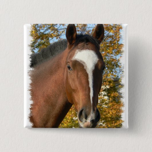 クォーター馬正方形Pin 缶バッジ (正面)