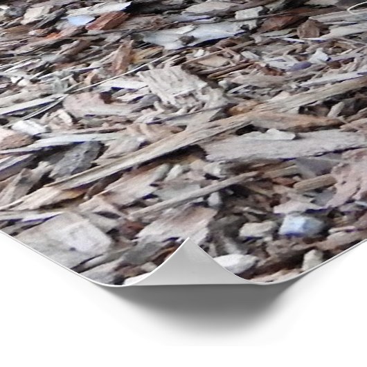 クオッカ ポスター (角)