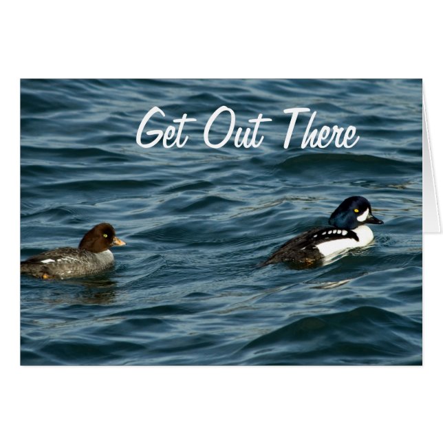 クサカゲロウはそこに素早く身をかがめます (正面横)