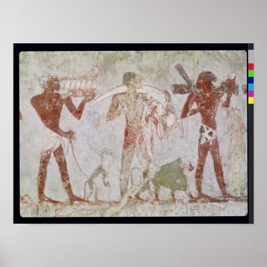 クシ運テスの金ゴールドの貢献度 ポスター (正面)