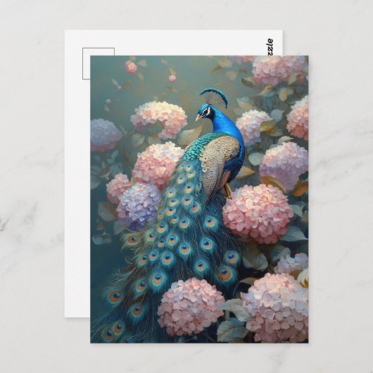 クジャクお洒落ピンクアジサイの花 ポストカード (正面/裏面)