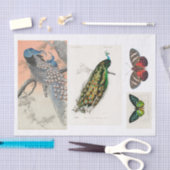 クジャクとバタフライのデコパージュ 薄葉紙 (クラフト)