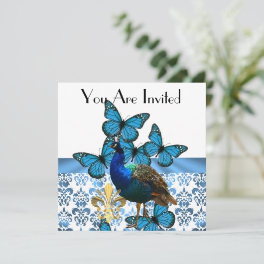 クジャクと青い蝶 招待状 (スタンド正面)