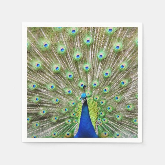 クジャクのナプキン スタンダードカクテルナプキン (正面)